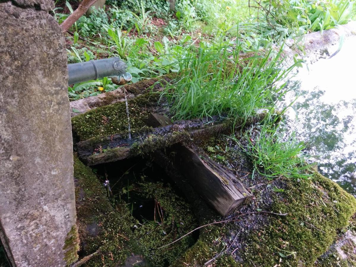 Ferme Des Deux Freres, Autrans, Vercors Εξωτερικό φωτογραφία