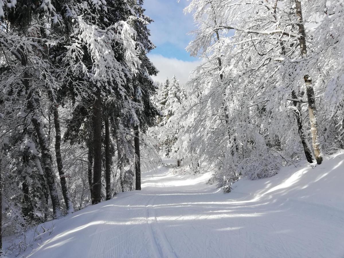 Ferme Des Deux Freres, Autrans, Vercors Εξωτερικό φωτογραφία