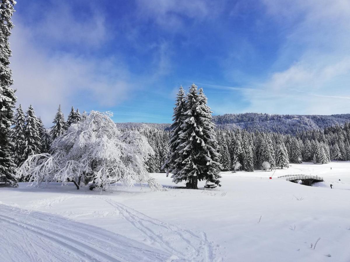 Ferme Des Deux Freres, Autrans, Vercors Εξωτερικό φωτογραφία