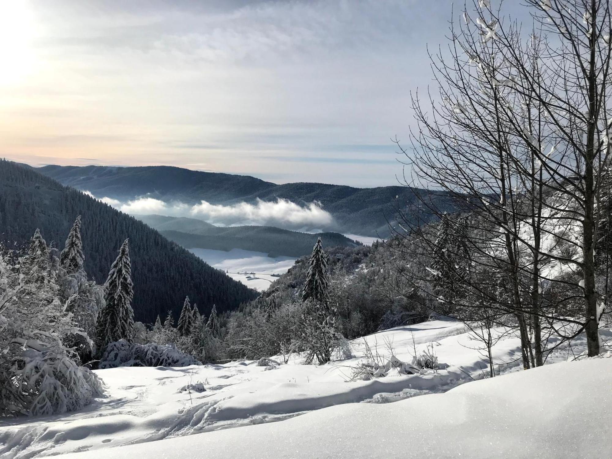 Ferme Des Deux Freres, Autrans, Vercors Εξωτερικό φωτογραφία