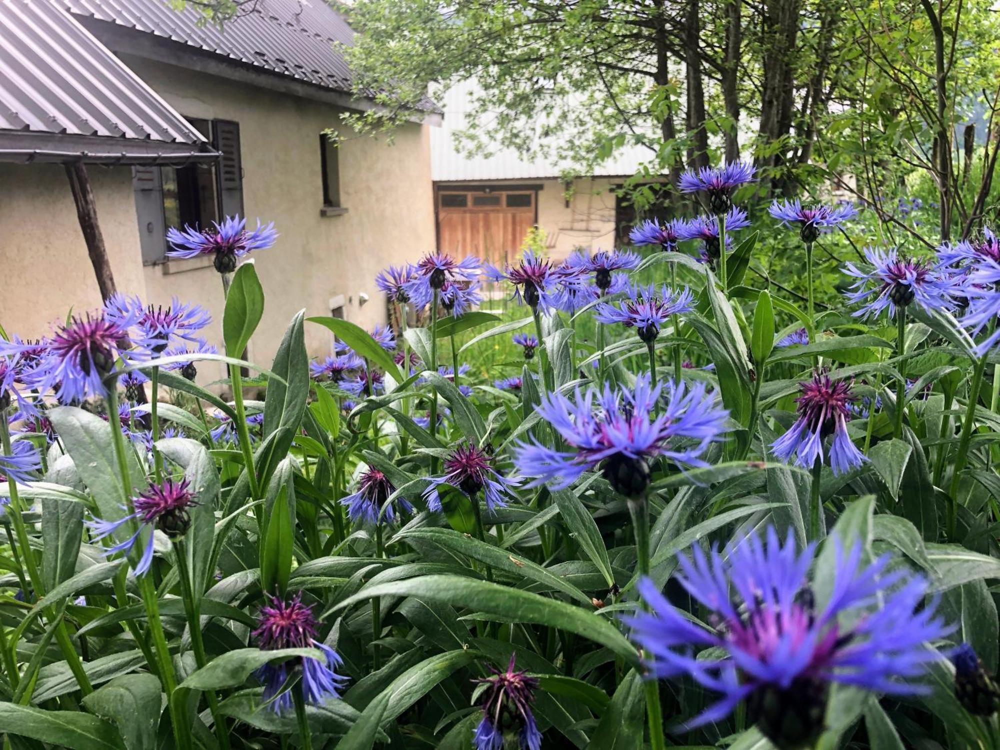 Ferme Des Deux Freres, Autrans, Vercors Εξωτερικό φωτογραφία